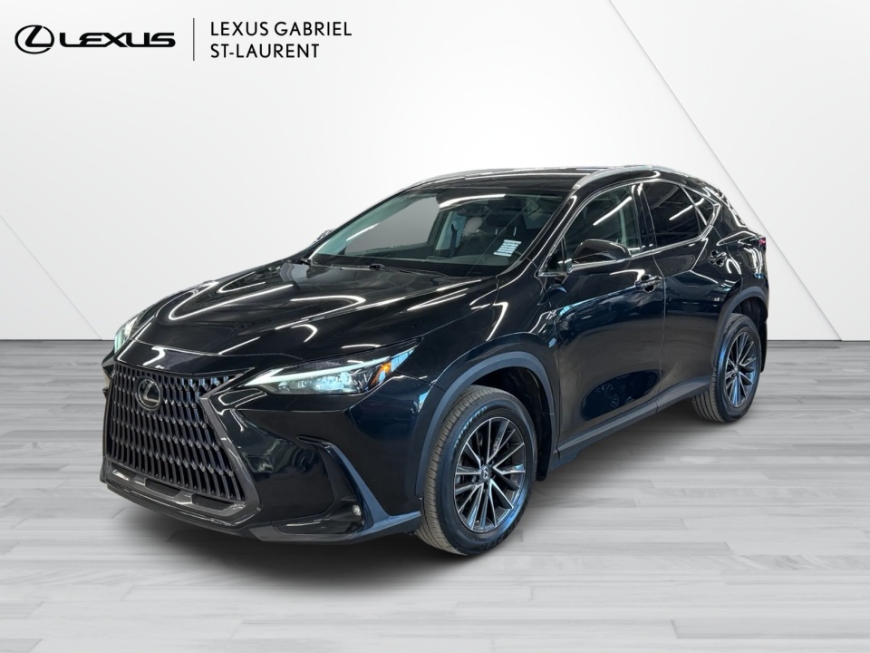2022 Lexus NX 250 AWD
