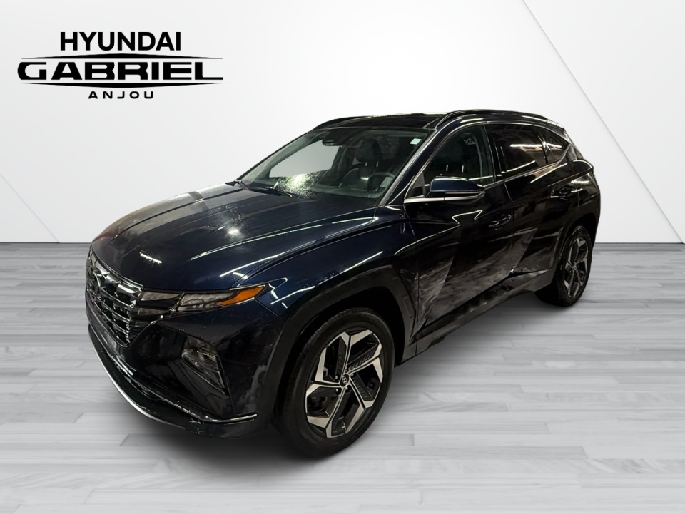 Hyundai Tucson Hybrid LUXURY Hybrid AWD 2023 - Photo 1