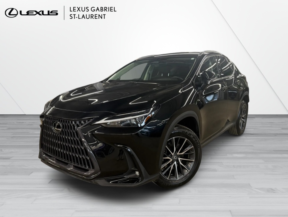 Lexus NX 250 AWD 2023