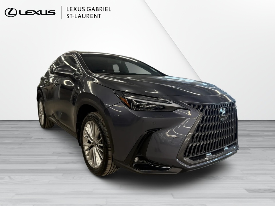 2024 Lexus NX 350