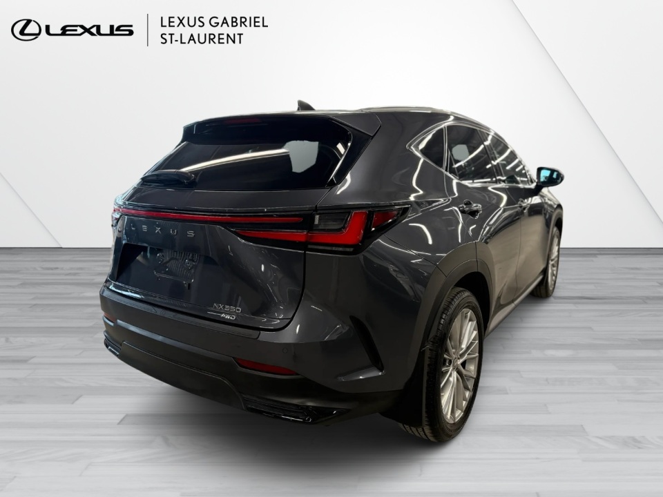2024 Lexus NX 350