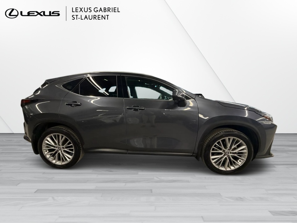2024 Lexus NX 350