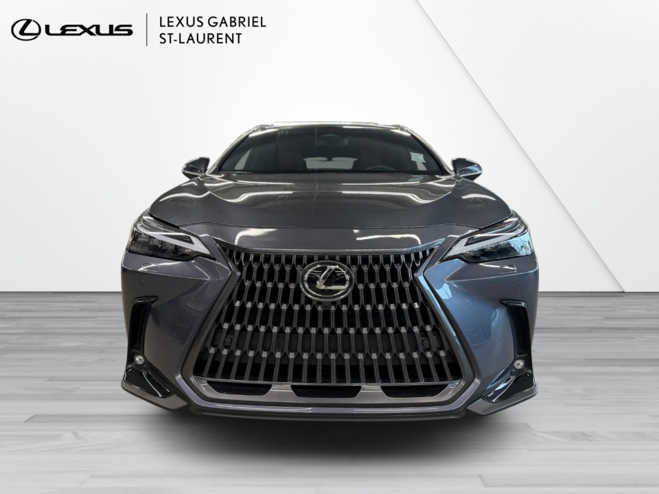 2024 Lexus NX 350