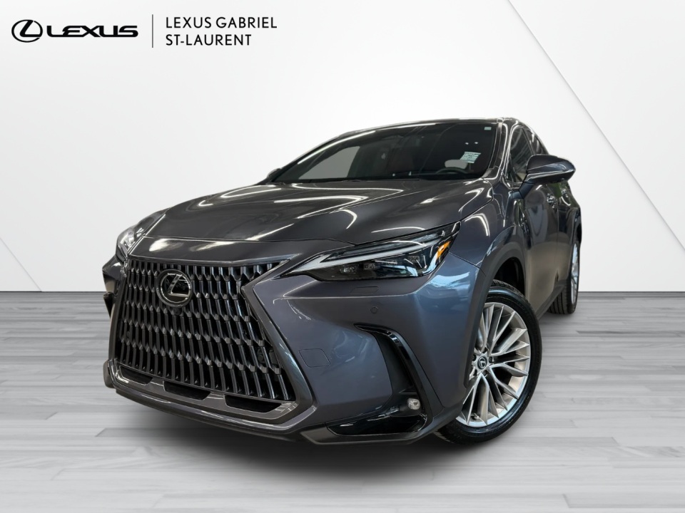 2024 Lexus NX 350