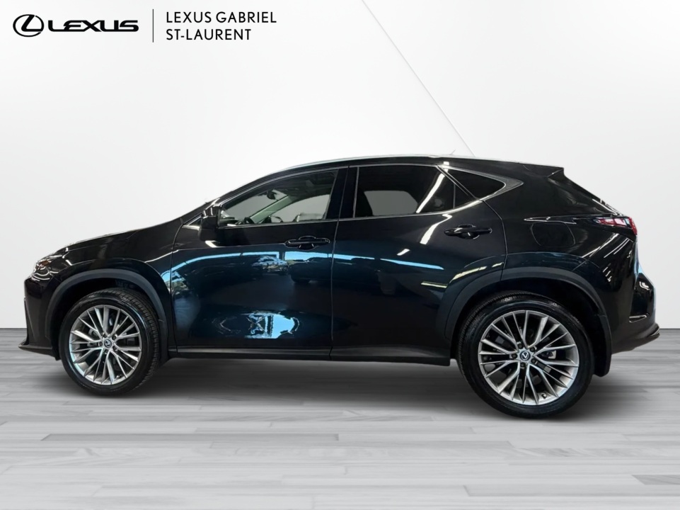 2024 Lexus NX 350