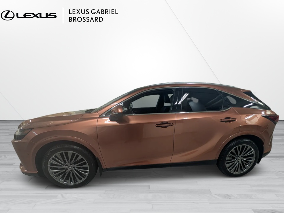 2024 Lexus RX