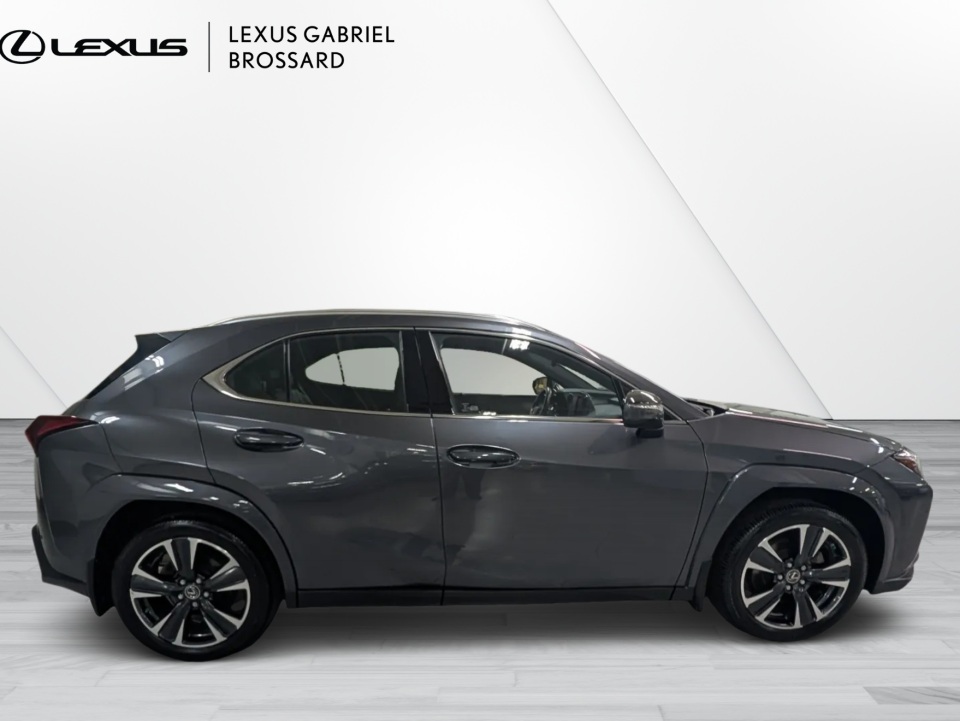 2024 Lexus UX 250h