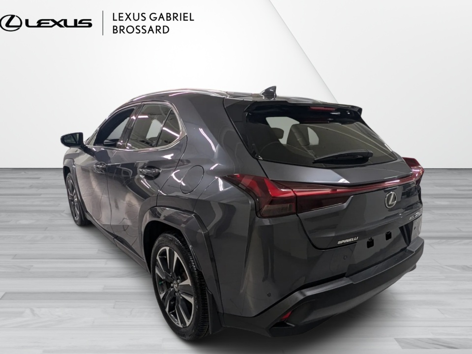 2024 Lexus UX 250h