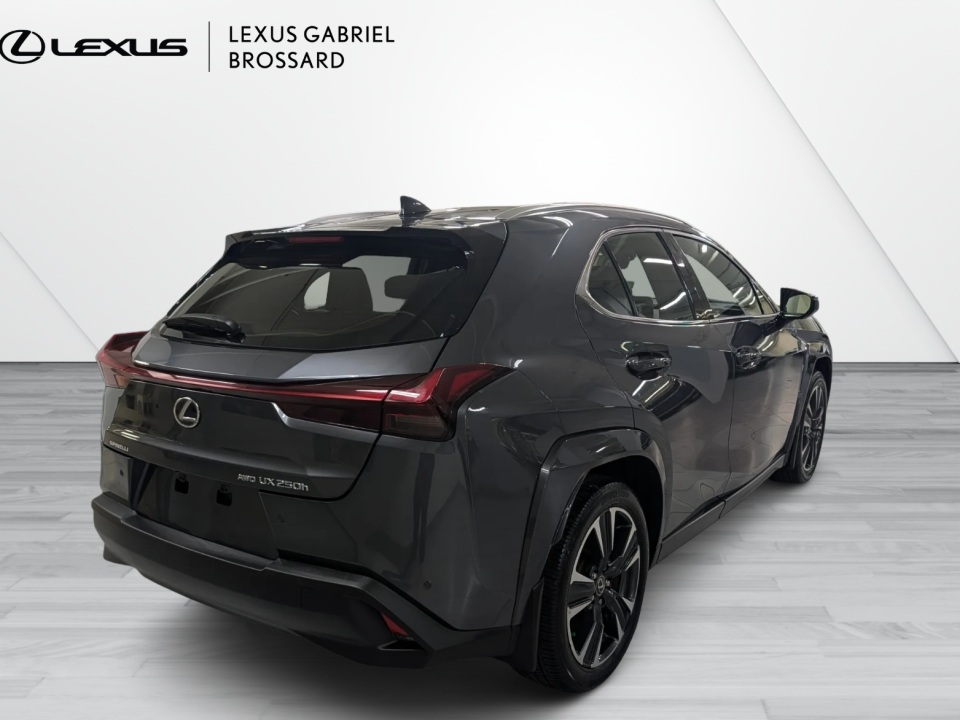 2024 Lexus UX 250h