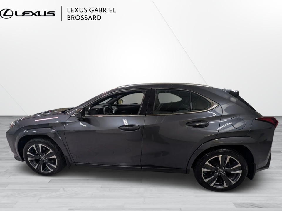 2024 Lexus UX 250h