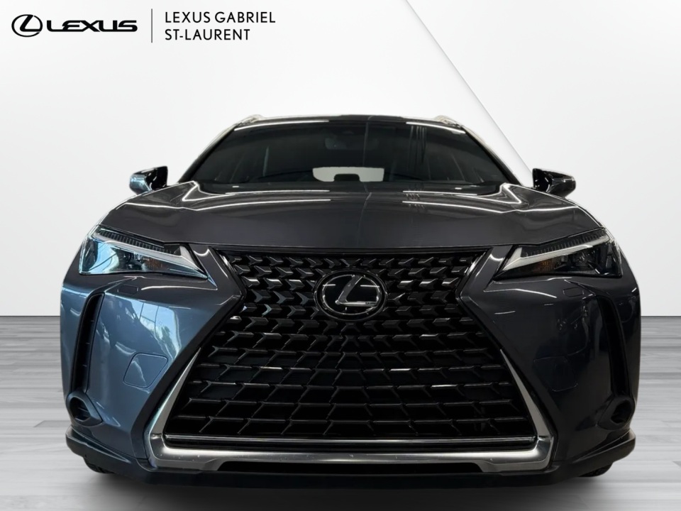 2024 Lexus UX 250h