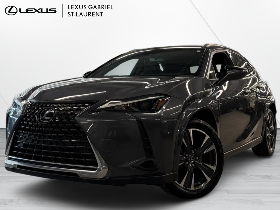 2024 Lexus UX 250h