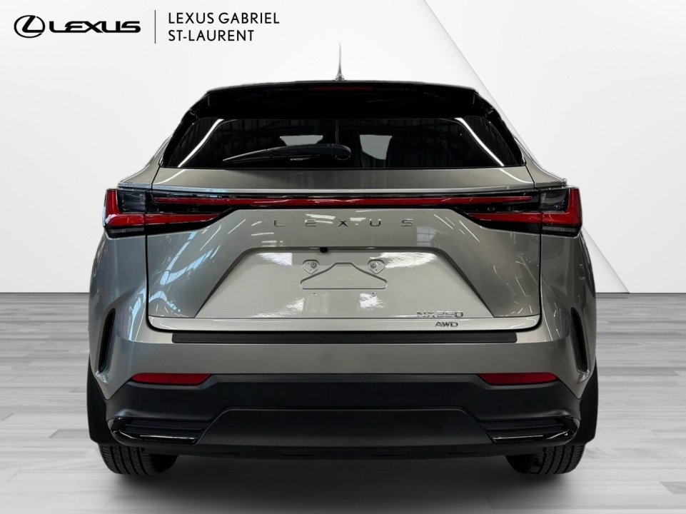 2025 Lexus NX 350