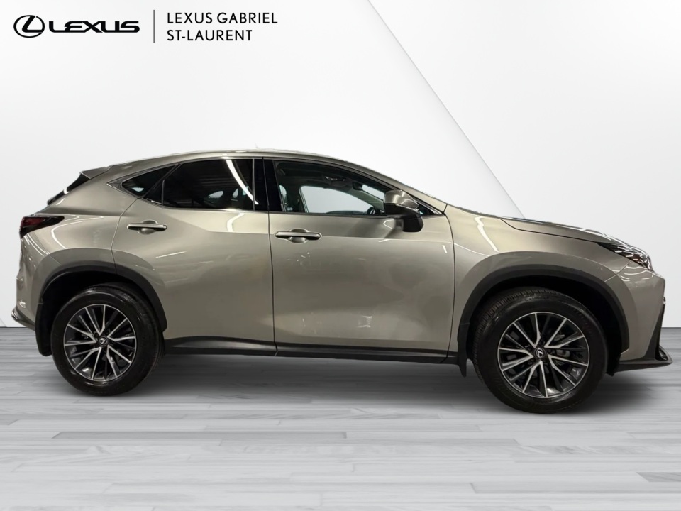 2025 Lexus NX 350