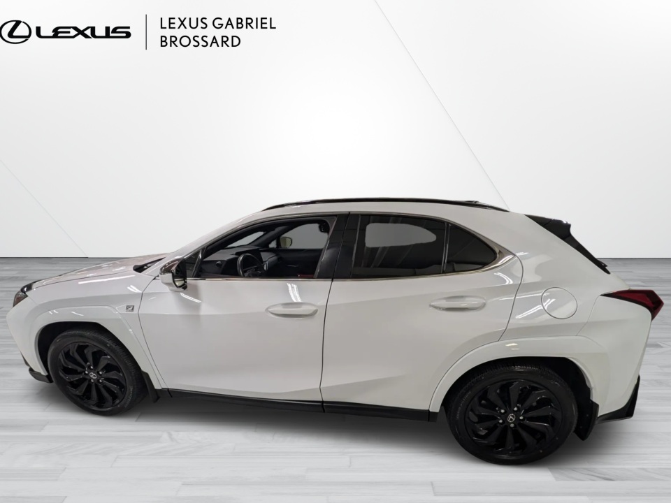 2025 Lexus UX 300h