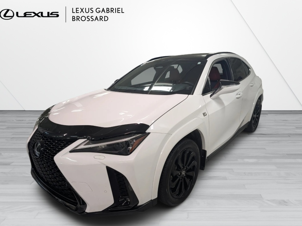 2025 Lexus UX 300h