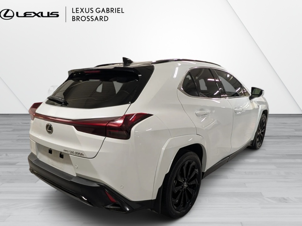 2025 Lexus UX 300h