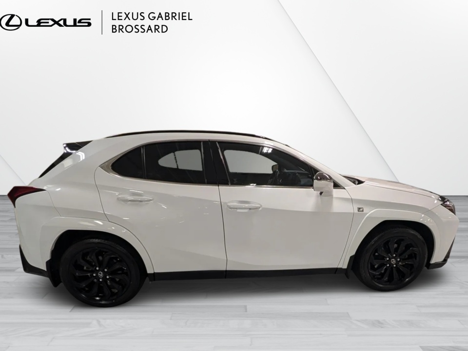 2025 Lexus UX 300h