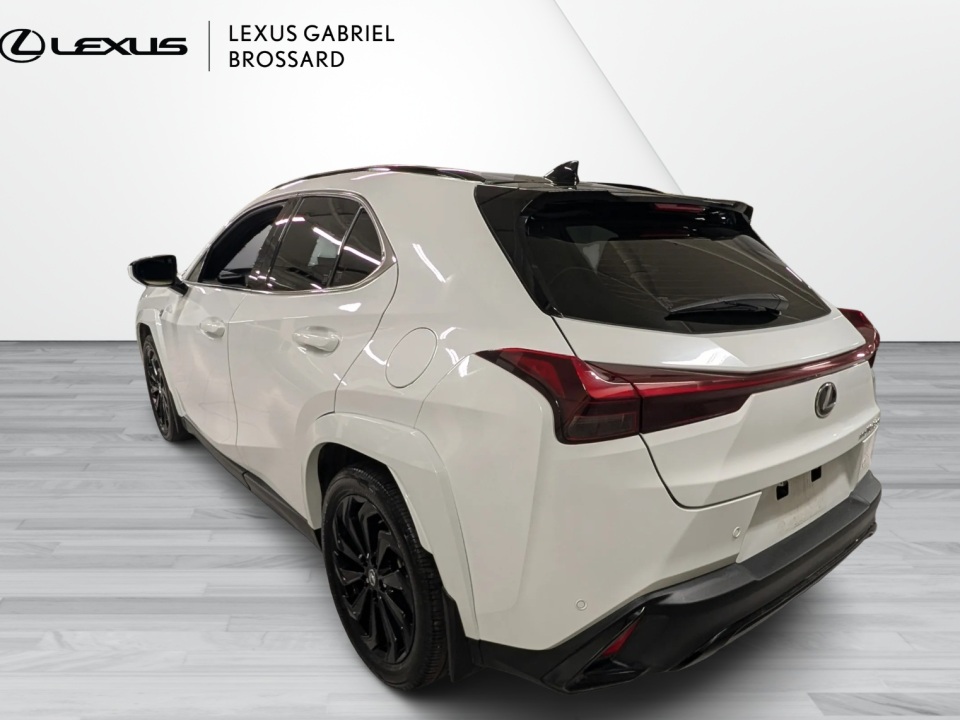 2025 Lexus UX 300h