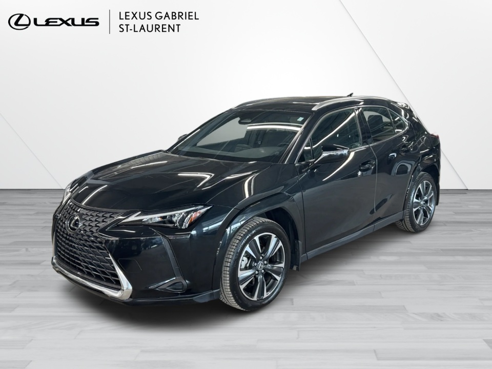 2025 Lexus UX Hybrid 300h Premium AWD