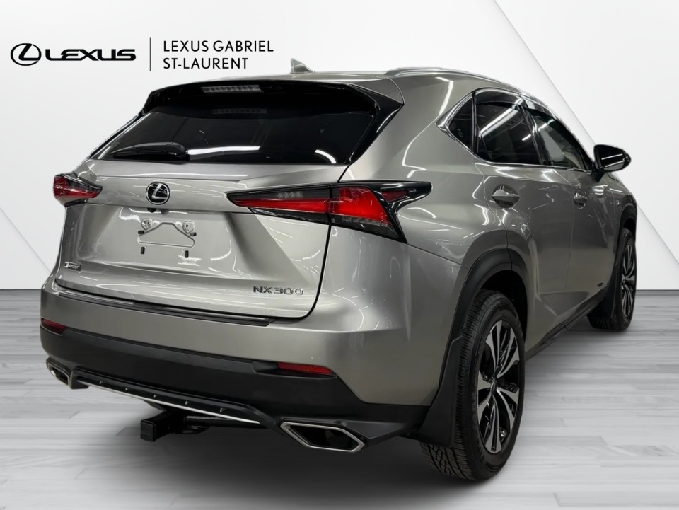 2019 Lexus NX 300