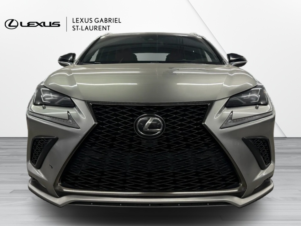 2019 Lexus NX 300